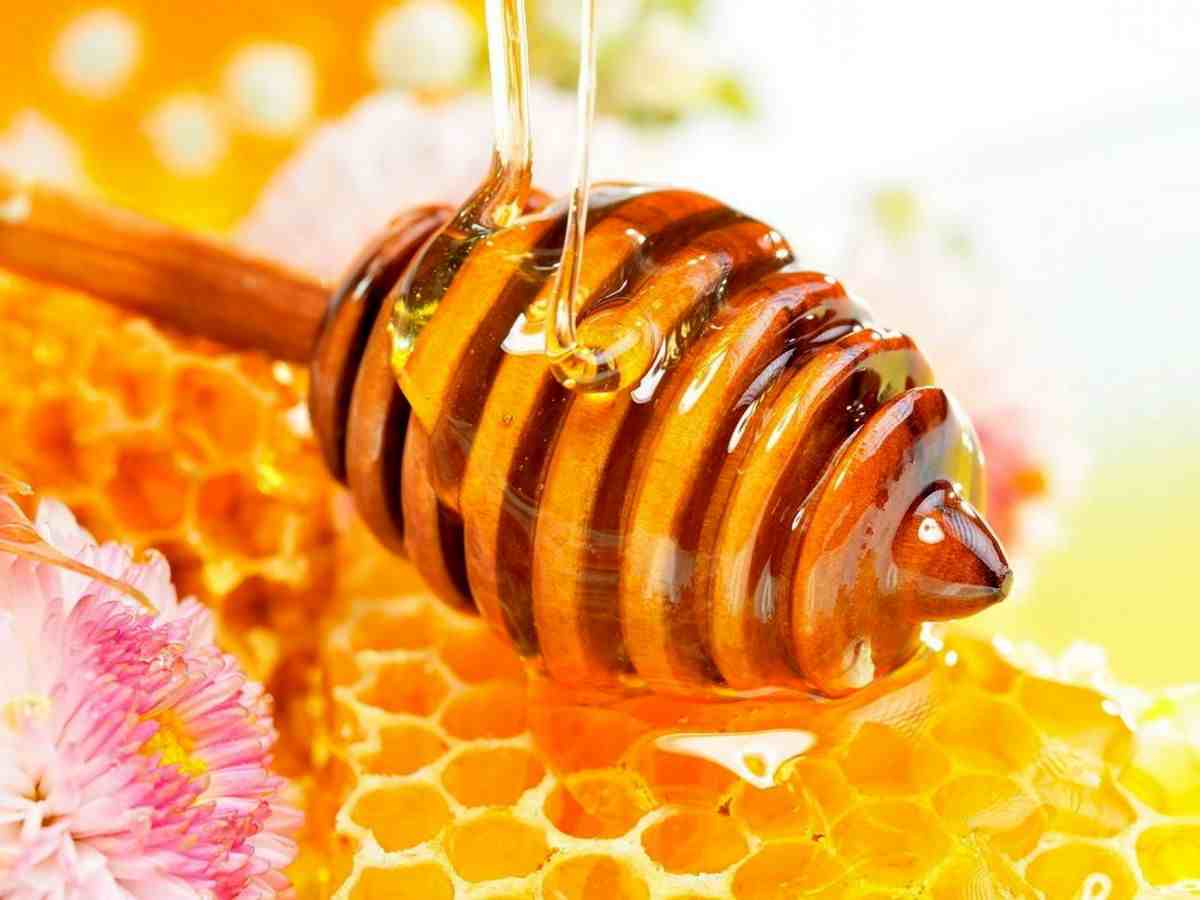 تصویر 1 از عسل کوهی جنوب مناسب استفاده در انواع دمنوش