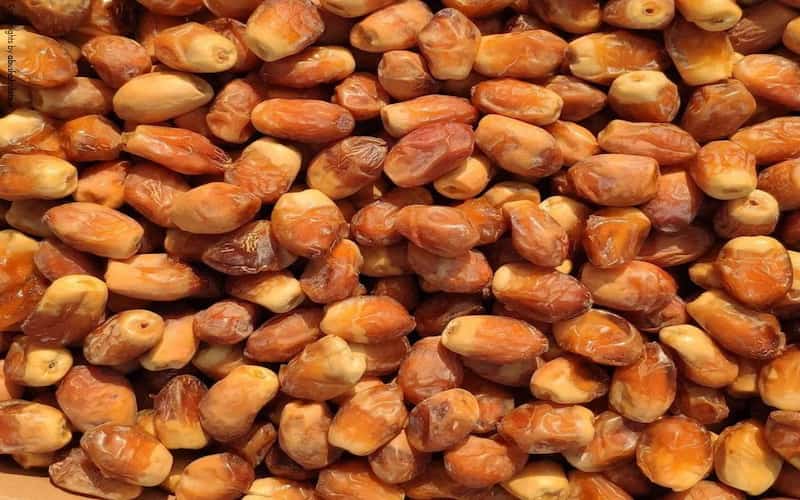 تصویر 2 از خرما زاهدی صادراتی مناسب بازارهای بین المللی
