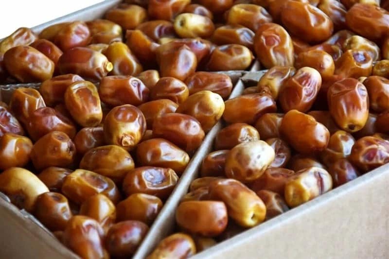 تصویر 1 از خرما زاهدی قند با کیفیت مطلوب از نخلستان های جنوب کشور