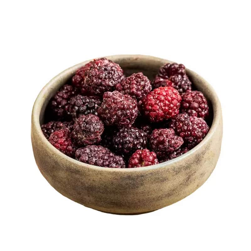 خرید تمشک خشک