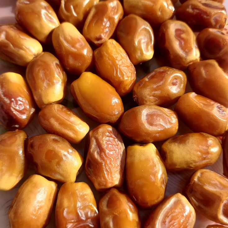 تصویر 3 از فروش ویژه زاهدی مضافتی تازه