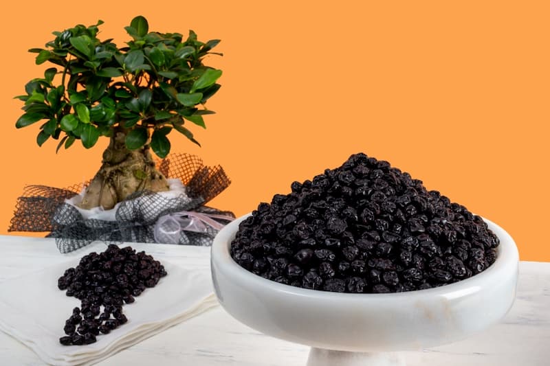 آلبالو خشک کارتنی با کیفیت مرغوب مناسب توزیع و پذیرایی