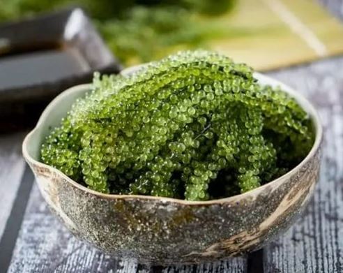 خاویار گیاهی