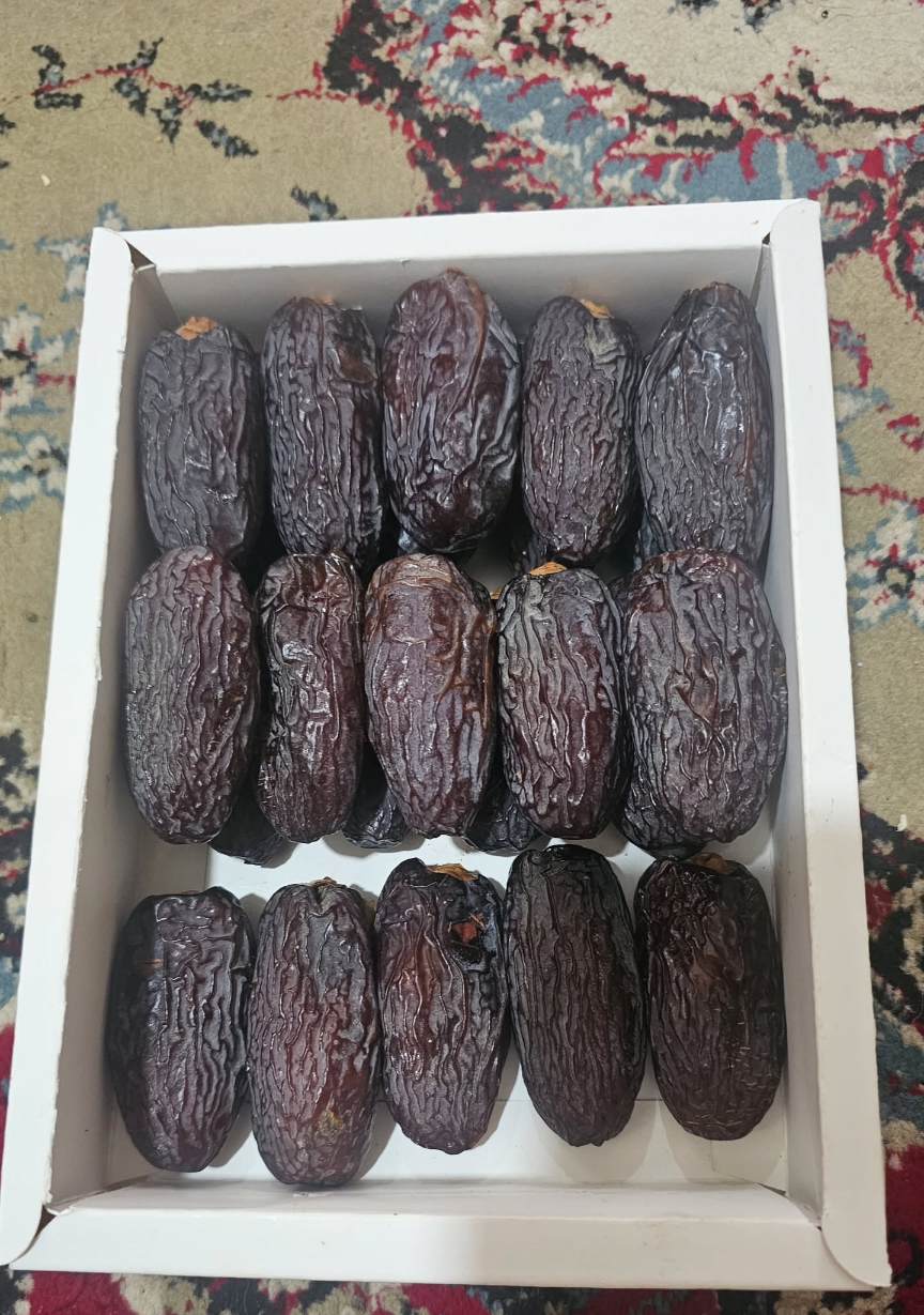 صادرات خرما مجول مراکشی + خرید عمده