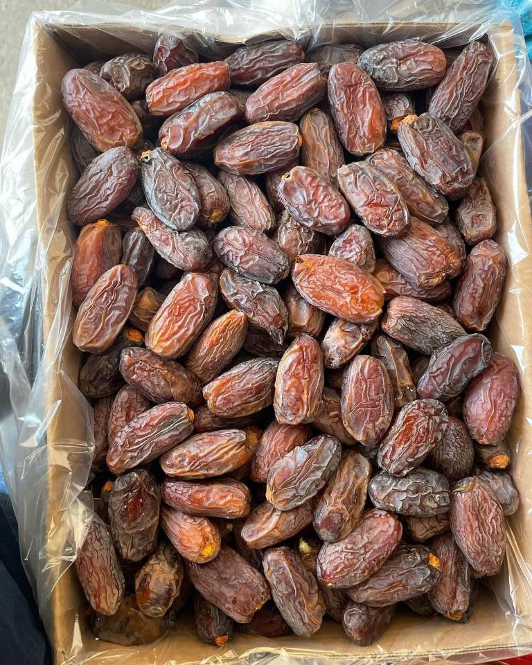 تصویر 2 از صادرات حرفه‌ای خرما مجول مراکشی
