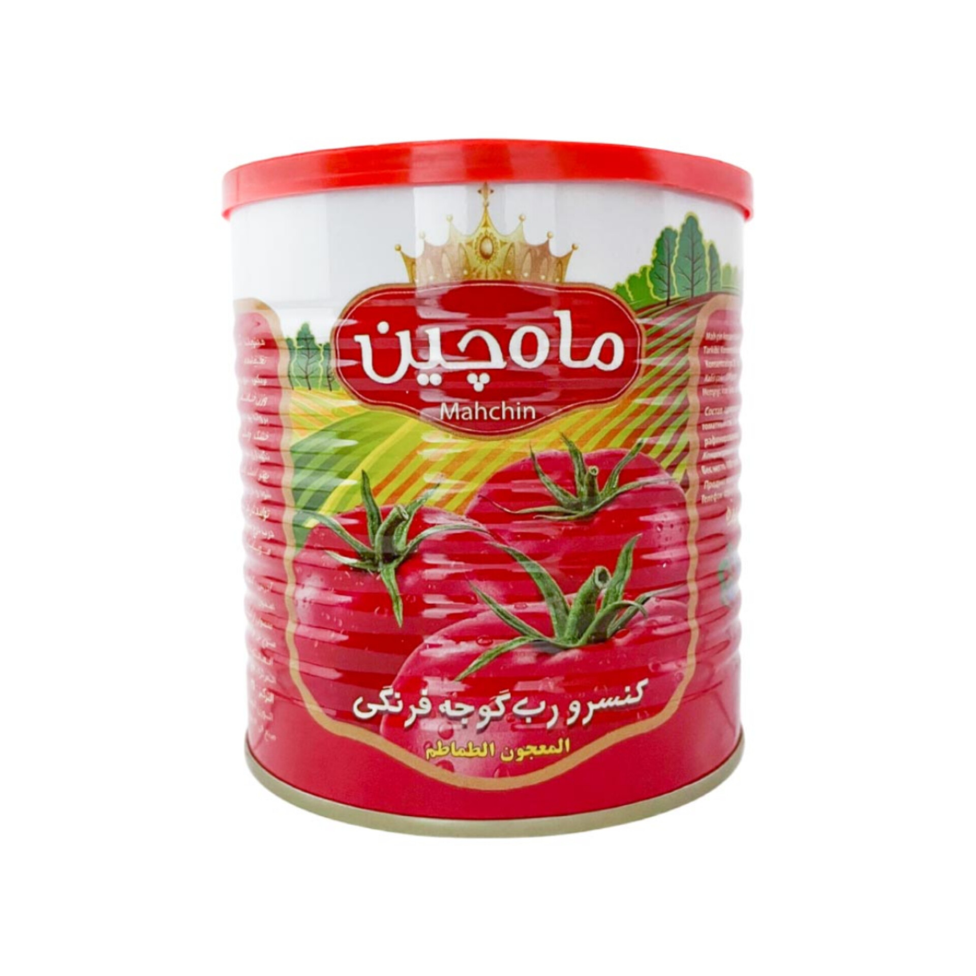 قیمت رب گوجه فرنگی با ارسال فوری