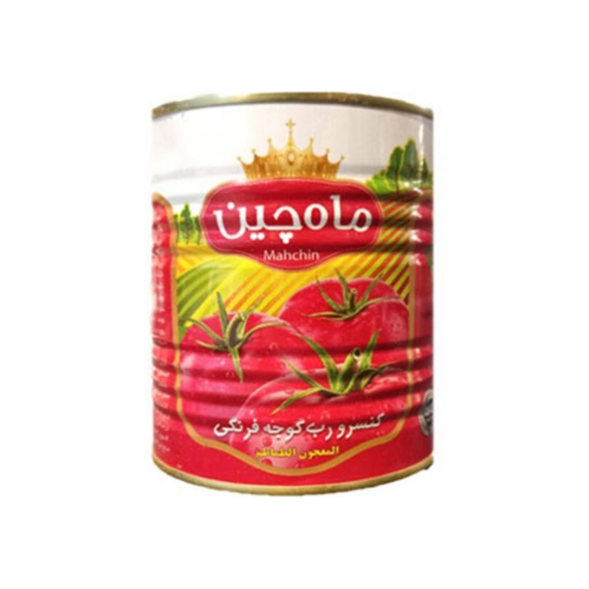 قیمت رب گوجه فرنگی درب انبار