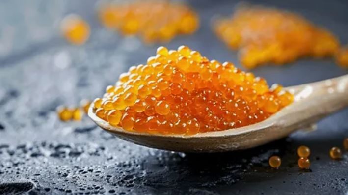 تصویر 2 از خاویار طلایی بلوگا تهیه شده از ماهیان پرورشی ممتاز