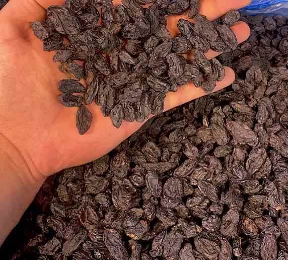 قیمت کشمش مویز