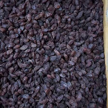 خرید کشمش مویز