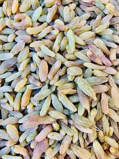 کشمش افغانی با کیفیت مناسب مصارف صادراتی
