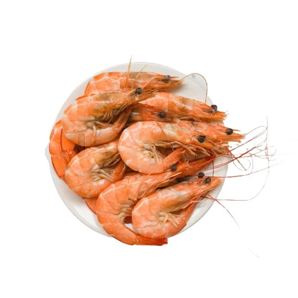 میگو فله با کیفیت ممتاز و آماده عرضه در حجم بالا