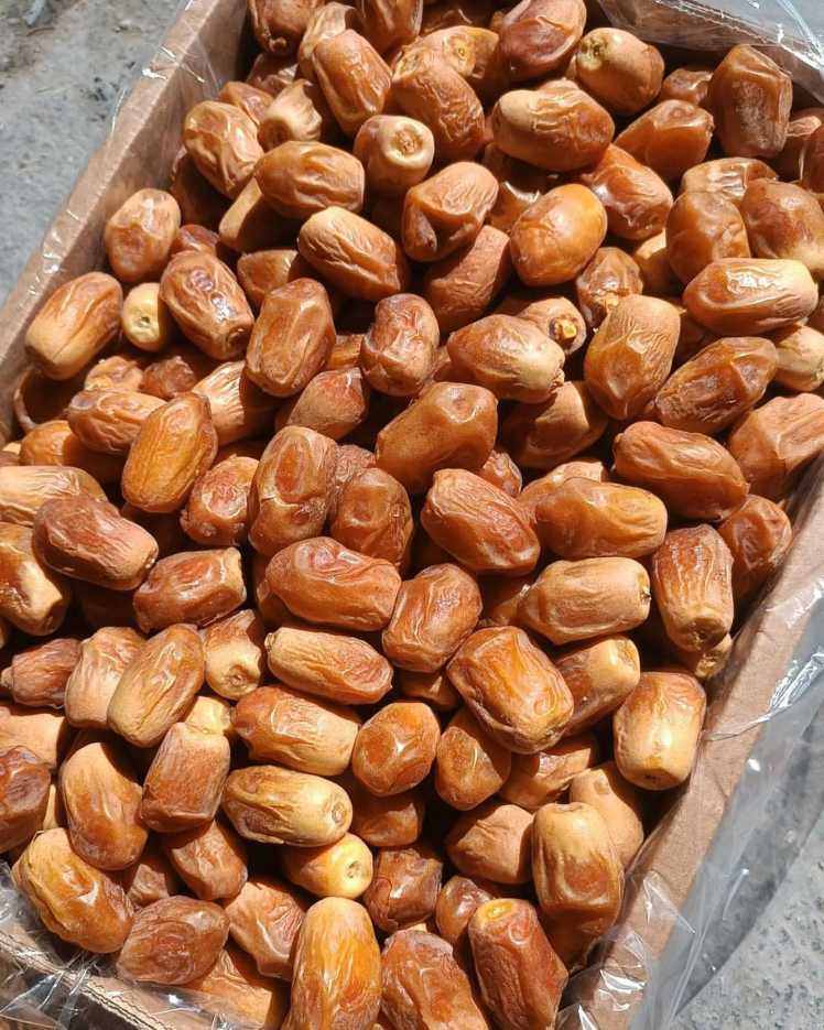 تصویر 2 از خرید مطمئن خرما زاهدی برای صادرات