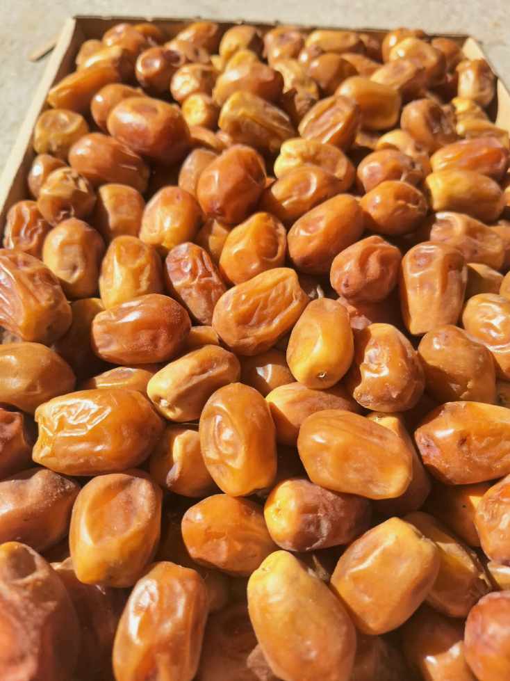 تصویر 2 از خرید عمده خرما زاهدی با کیفیت تضمین‌شده