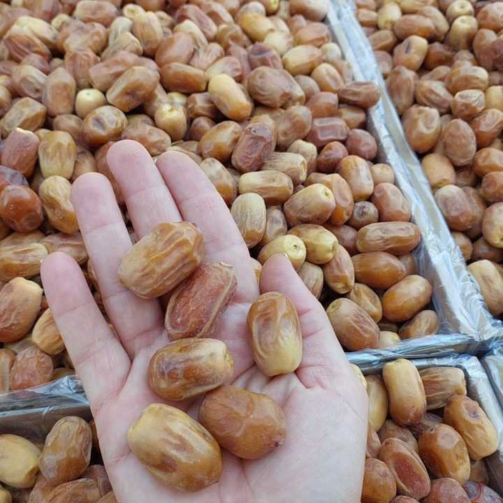 تصویر 3 از خرید مستقیم خرما زاهدی از تولیدکننده