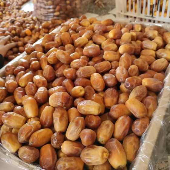 تصویر 3 از تأمین مستقیم خرما زاهدی بوشهر + قیمت عمده