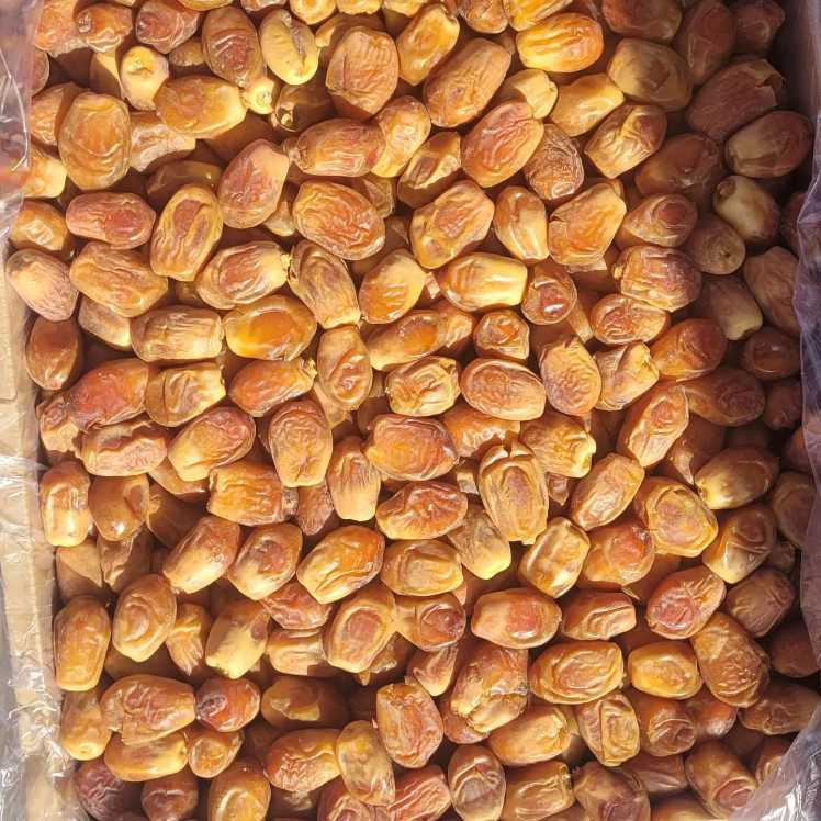 فروشنده عمده خرما زاهدی