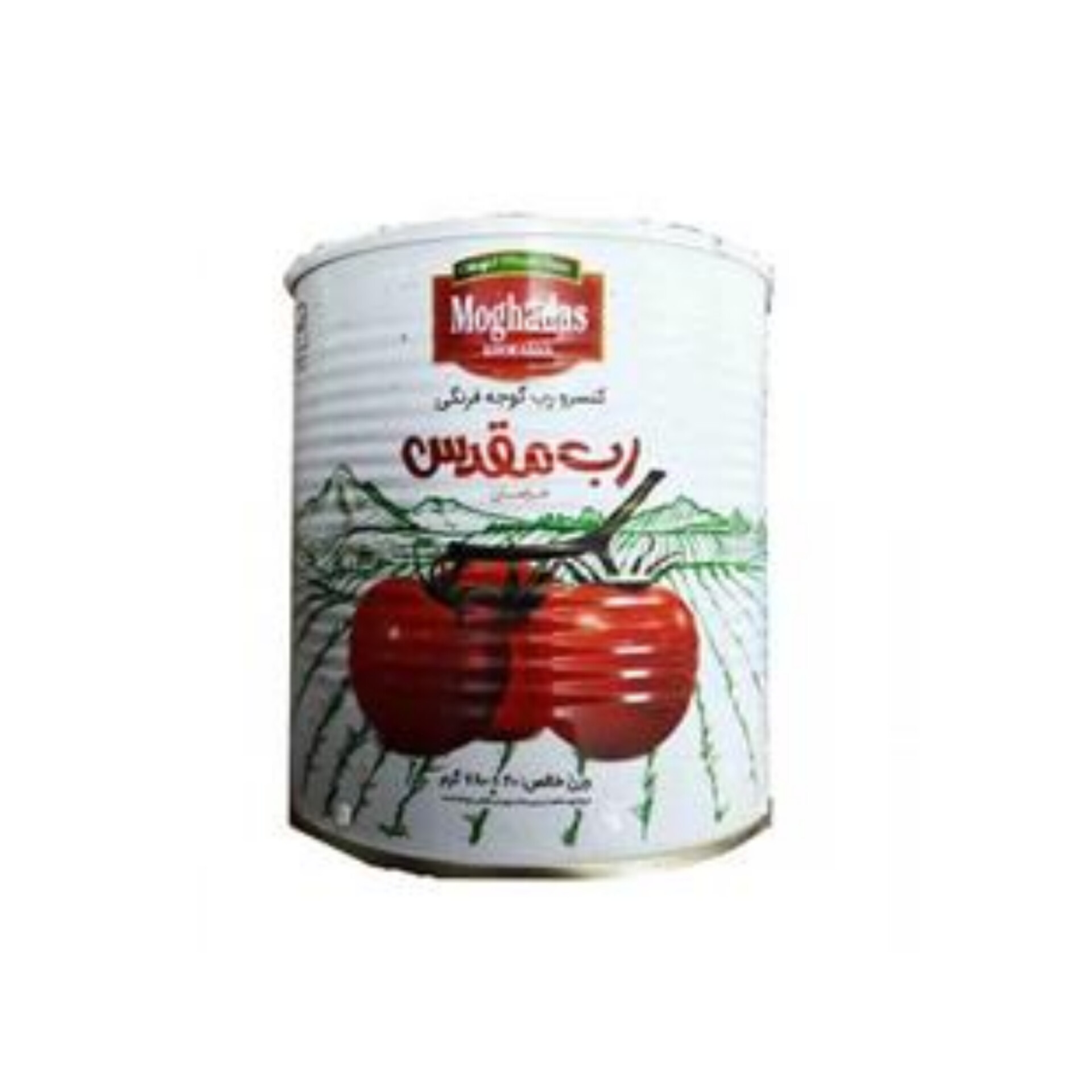 خرید عمده رب گوجه فرنگی با بسته‌بندی استثنایی