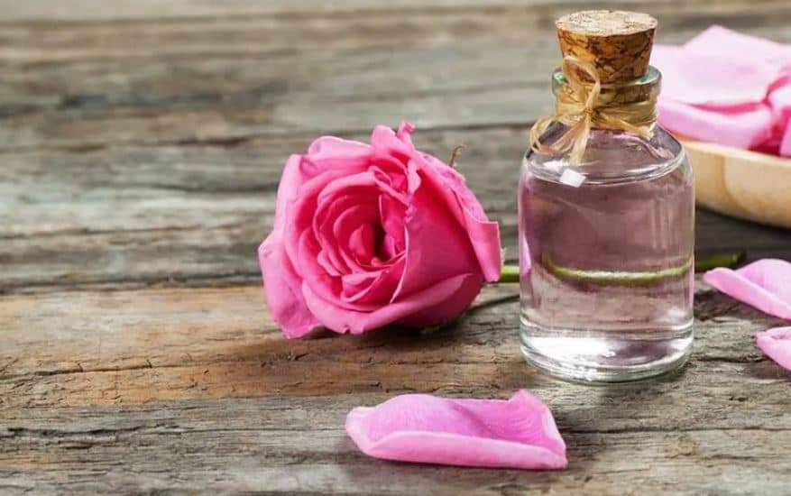 تصویر 4 از گلاب ویژه حقیقت دادجو با رایحه ماندگار و کیفیت عالی