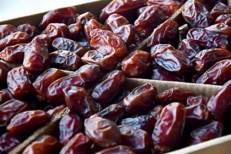 تصویر 3 از خرما کبکاب زاهدی تازه با بافتی گوشتی و شیرینی طبیعی