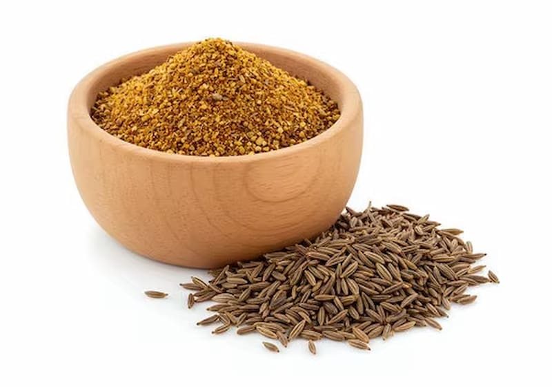 فروش رازیانه خشک شده