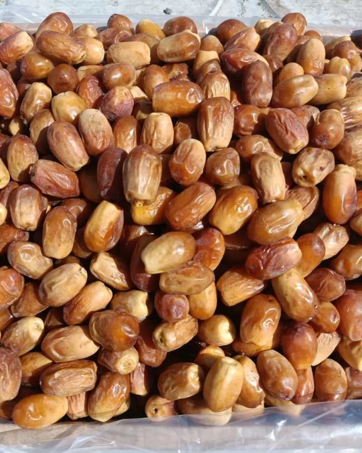 تصویر 1 از خرما زاهدی؛ محصولی مناسب برای صادرات