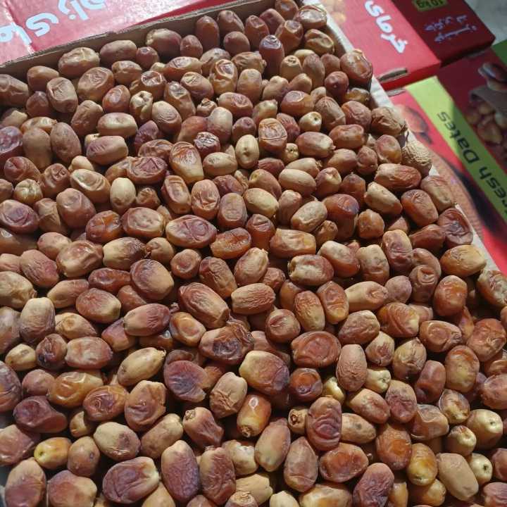 صادرات آسان خرما زاهدی + قیمت عمده