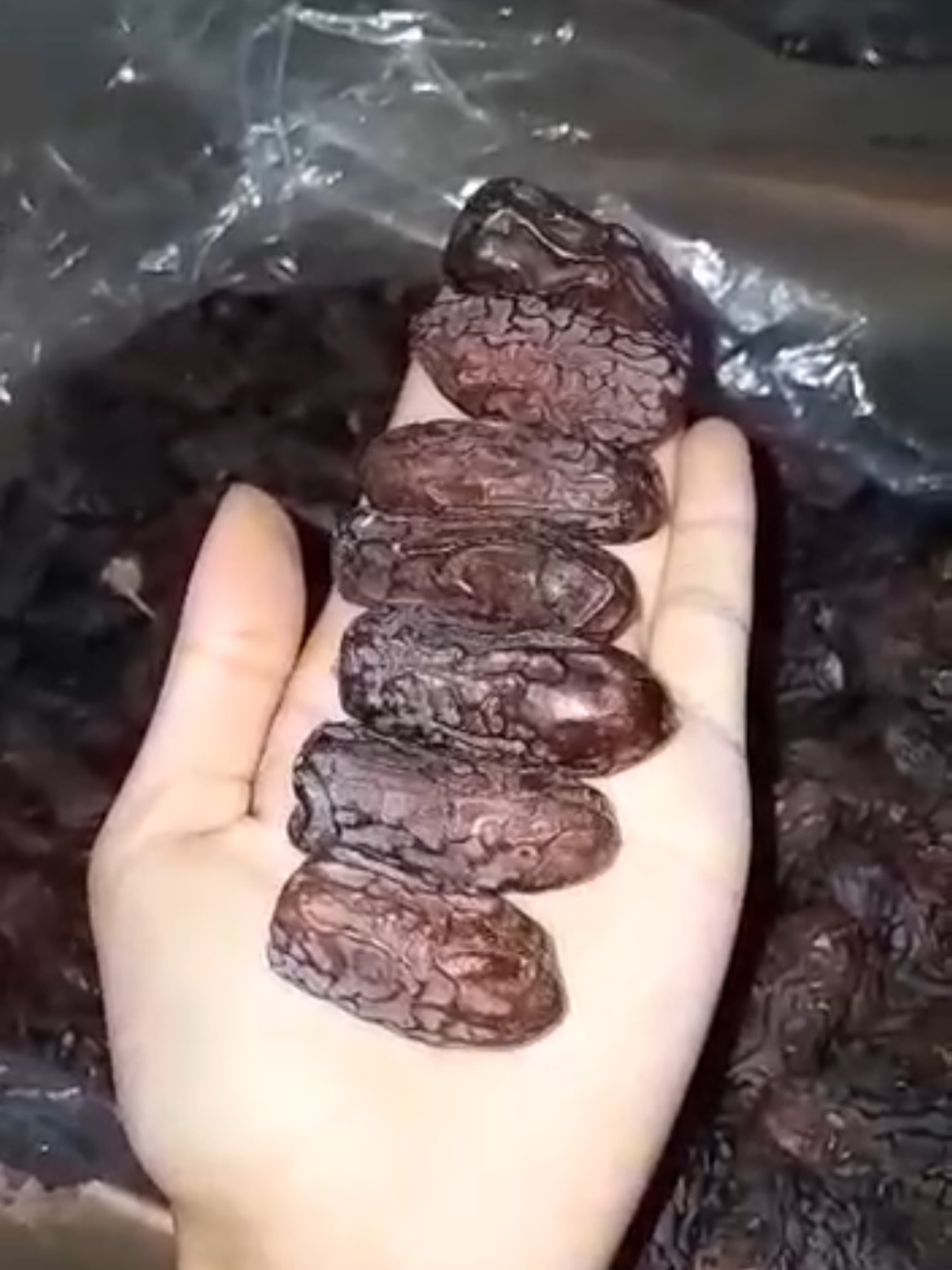 تصویر 3 از تأمین پایدار خرما پیارم صادراتی + فروش ویژه