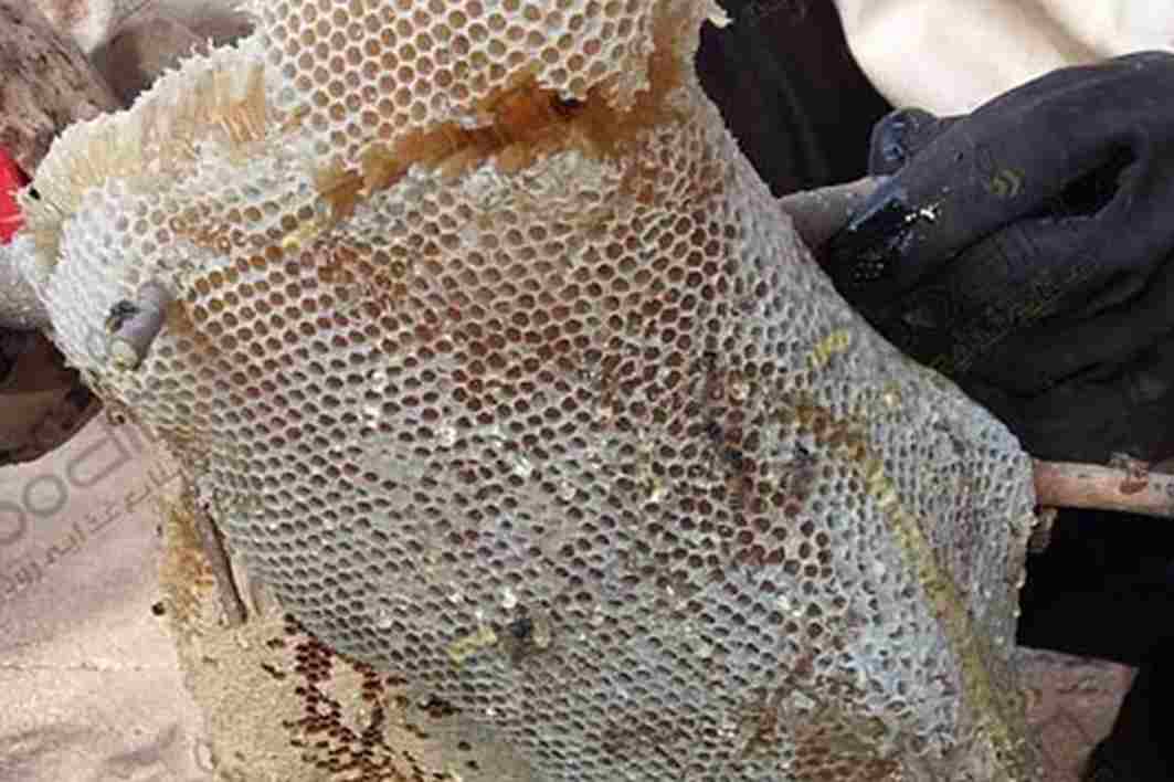 تصویر 2 از عسل کوهی زاگرس با کیفیت ممتاز و طعم ماندگار