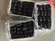 تصویر 1 از خرما مضافتی اصفهان دارای بافت گوشتی و هسته جداشونده آسان
