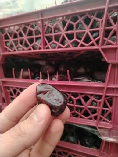 تصویر 2 از خرما مضافتی اصفهان دارای بافت گوشتی و هسته جداشونده آسان