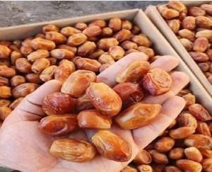 تصویر 1 از خرما مضافتی اهواز گزینه ای سالم برای رژیم غذایی روزانه