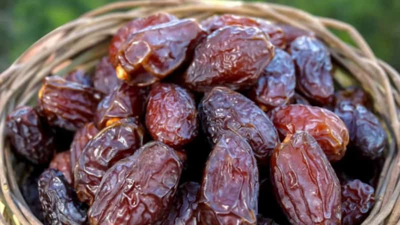تصویر 4 از انواع خرما استعمران از نمونه های ممتاز تا اقتصادی