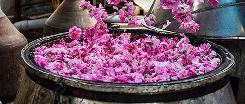 تصویر 4 از گلاب شیشه ای سمیه تهیه شده از گل های تازه