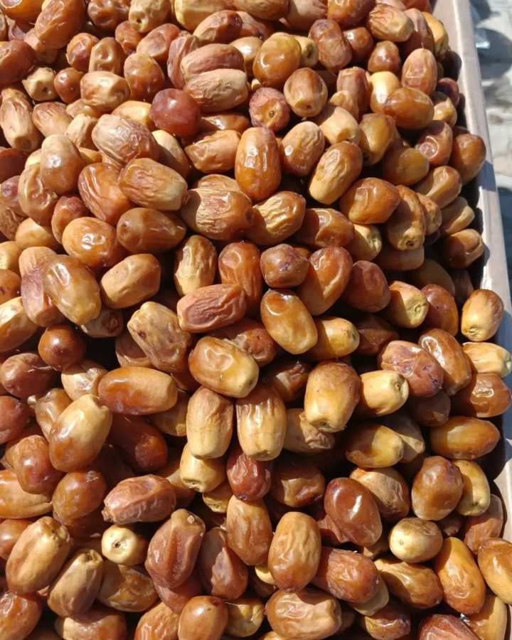 تصویر 1 از تأمین‌کنندگان معتبر خرمای زاهدی + فروش ویژه