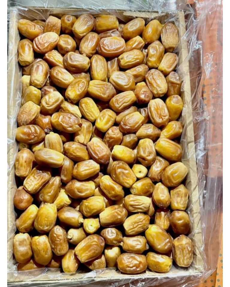 بازار خرید عمده خرما زاهدی + قیمت عمده