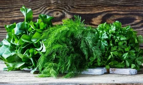 تصویر 3 از سبزی آش ماست آماده مصرف با طعم اصیل