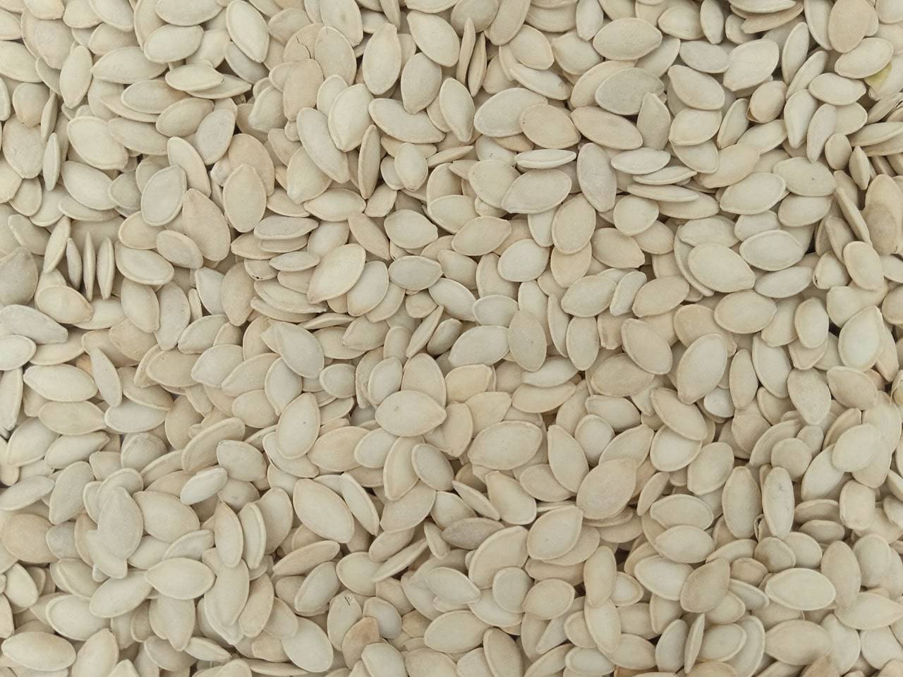 تصویر 5 از مغز تخمه کدو خام ارگانیک