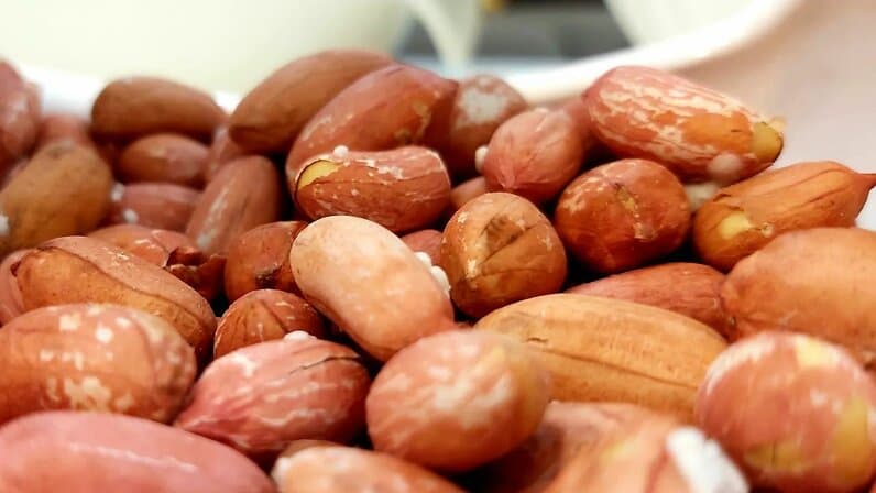 مغز بادام زمینی با کیفیت مناسب صنایع غذایی