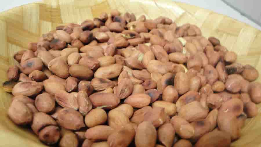 تصویر 3 از مغز بادام زمینی با کیفیت مناسب صنایع غذایی