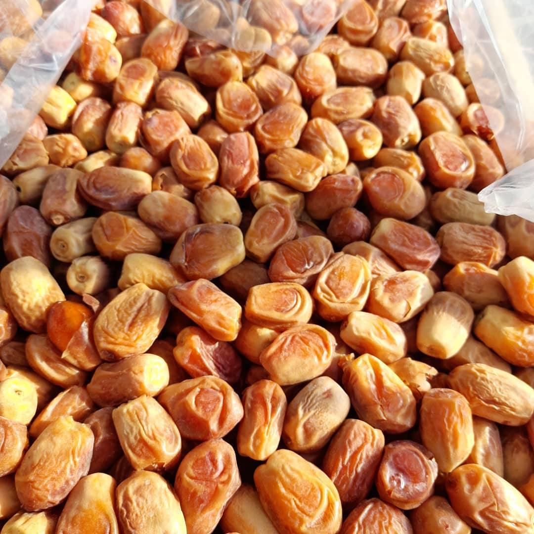 فروش خرما زاهدی با بسته‌بندی استاندارد + قیمت عمده