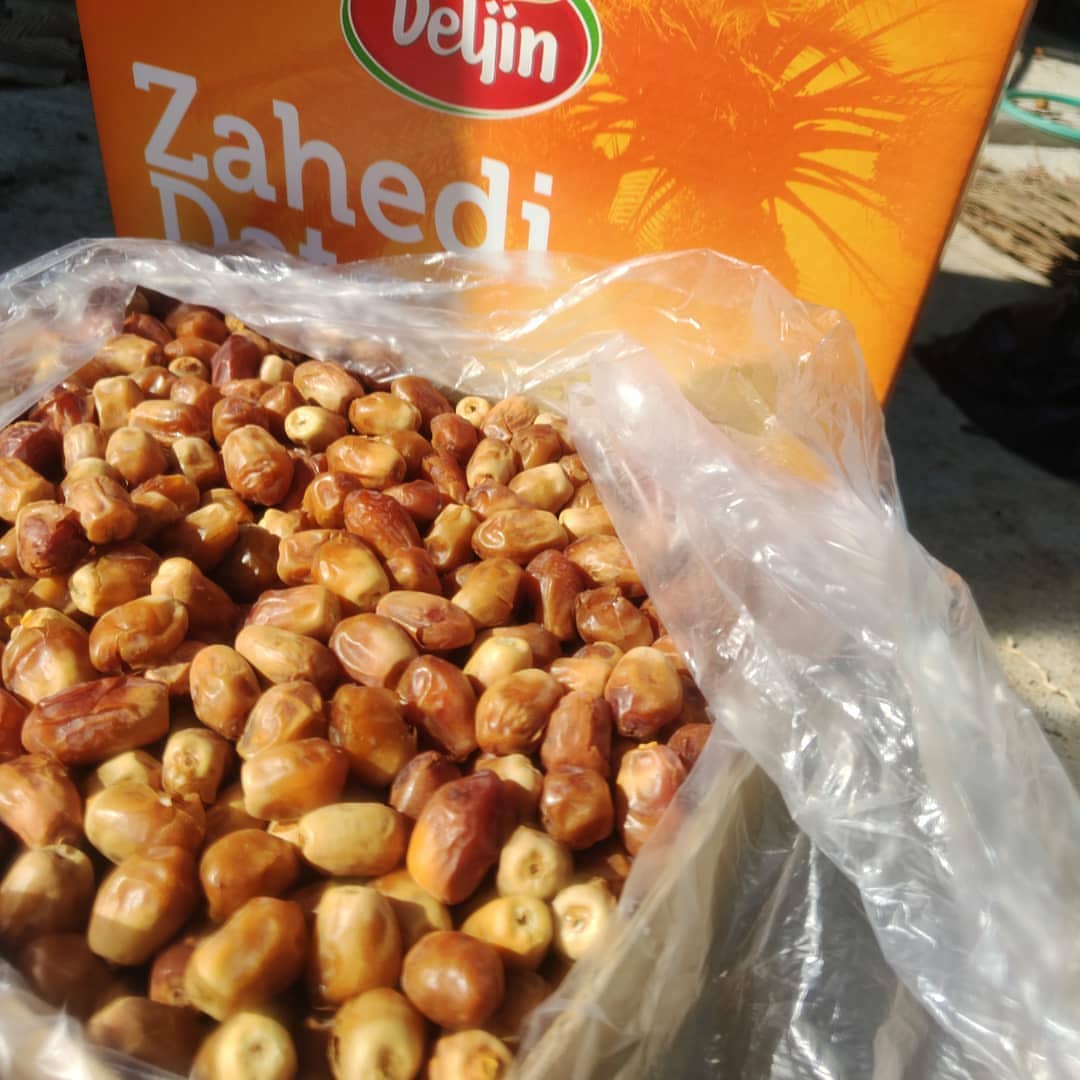 مرکز پخش خرما زاهدی درجه یک + فروش ویژه