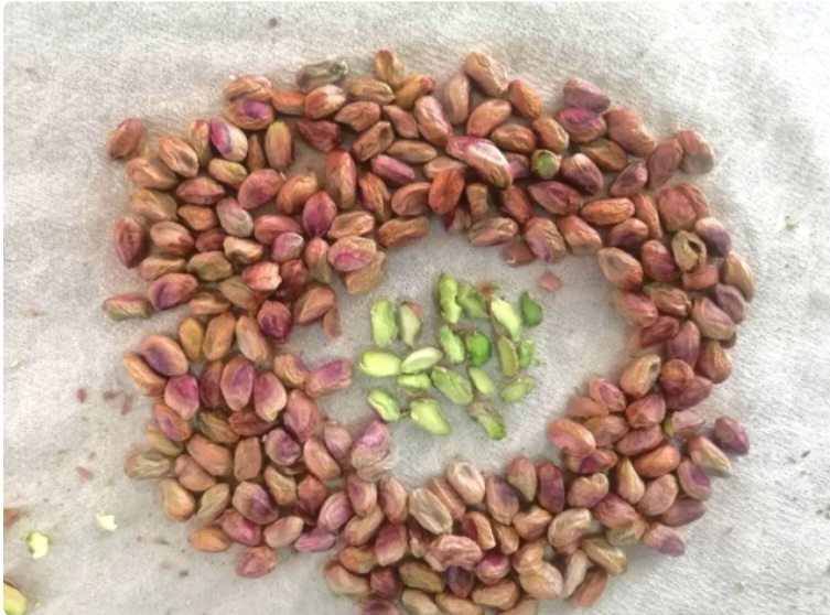 مغز پسته لوکس صادراتی