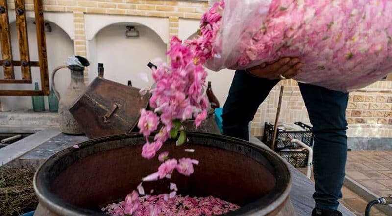 تصویر 4 از گلاب دو آتیشه بهارستان با کیفیت خالص و طبیعی
