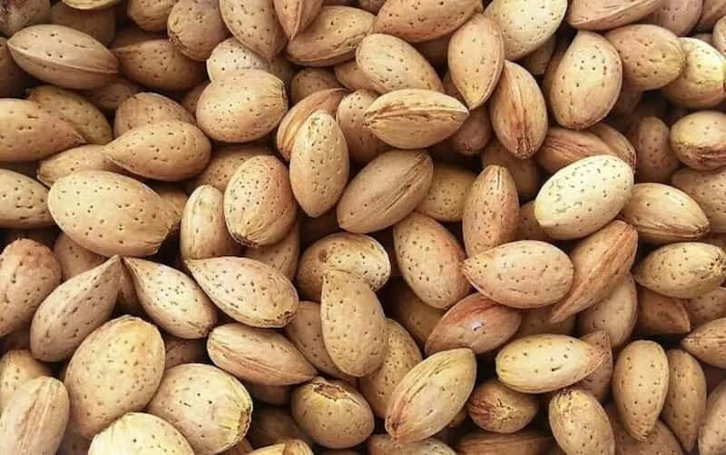 تصویر 2 از بادام مامایی سنگی با پوسته سخت و ماندگاری بالا