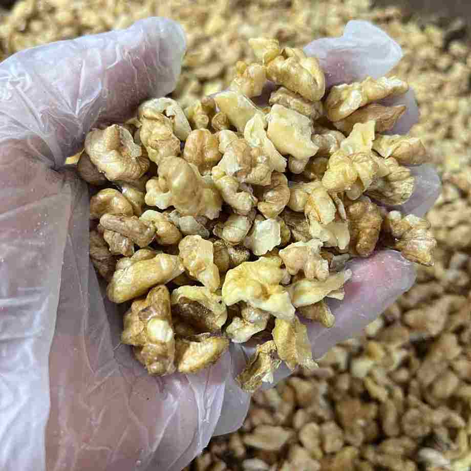 تصویر 3 از مغز گردو دندانه ای تازه با بافت درشت و سالم