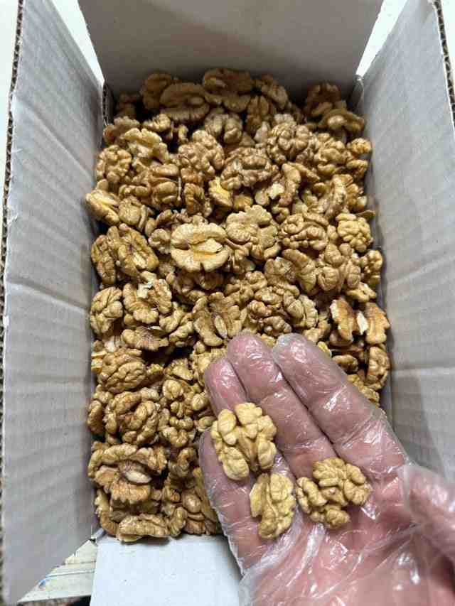تصویر 4 از مغز گردو صادراتی یکدست با طعم طبیعی و ماندگار