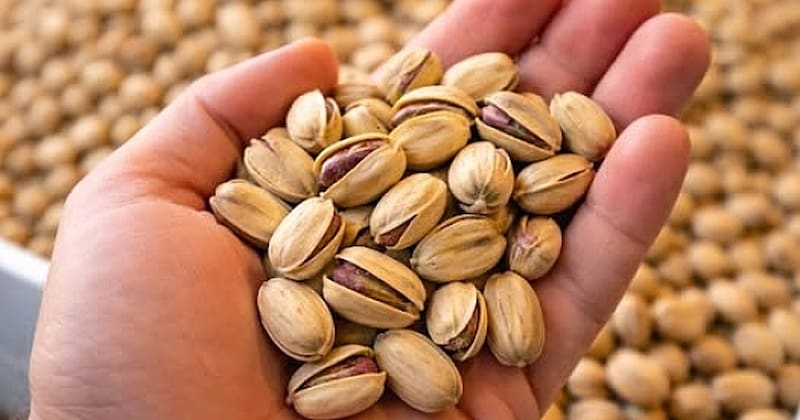 تصویر 3 از پسته اکبری ممتاز با کیفیت صادراتی و طعم عالی