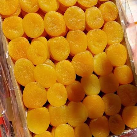 قیسی یک کیلویی سالم و خوش خوراک برای مصارف مختلف