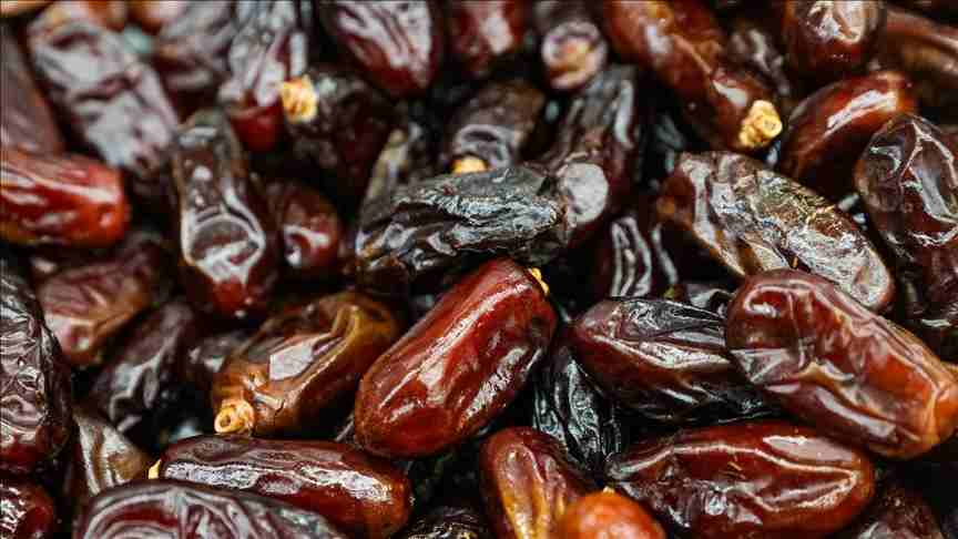 خرما خاصویی شیره دار با بافت نرم و شیرینی طبیعی